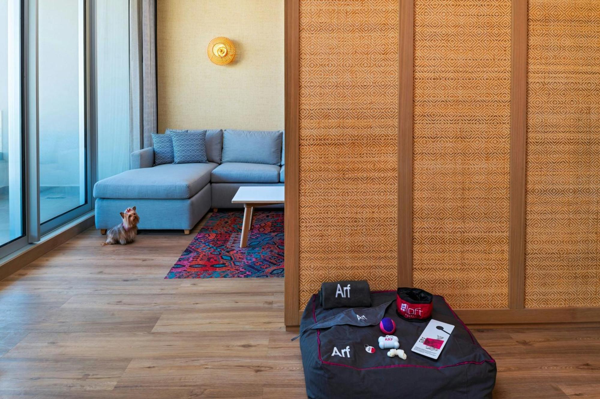Aloft Playa Del Carmen Hotel Luaran gambar A room divider